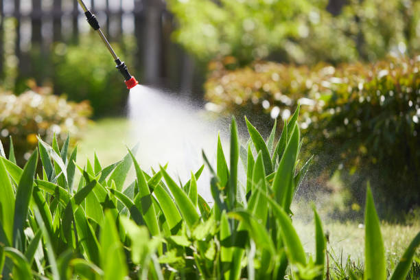 Tamper-Resistant Bait Stations for Rodents in Roswell