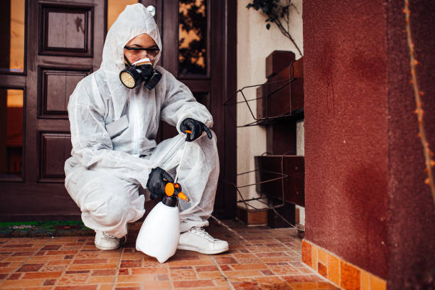 Attic and Crawl Space Rodent Treatment in Roswell
