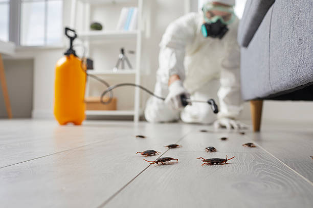 Commercial Rodent Management in Roswell